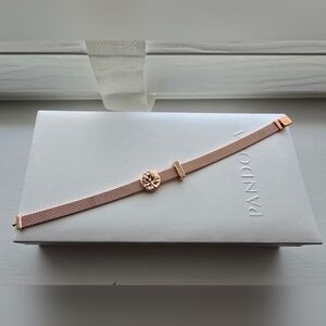 Pandora Reflexions Mesh Bracelet with Clip Charms